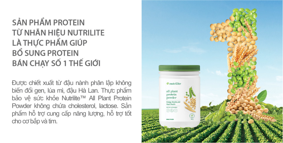 TPBS Nutrilite All Plant Protein Powder Trùm đa cấp